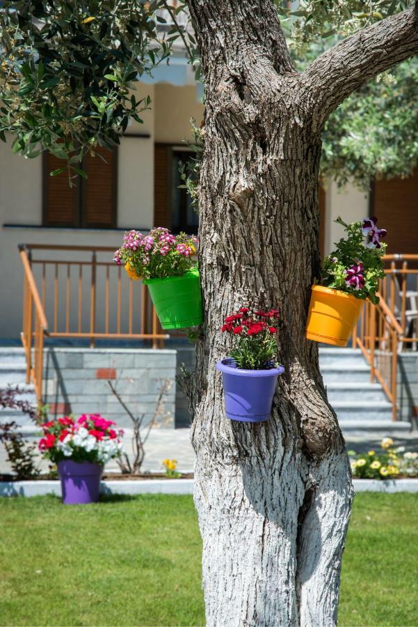 Holiday Villa Thassos Koinira Dış mekan fotoğraf